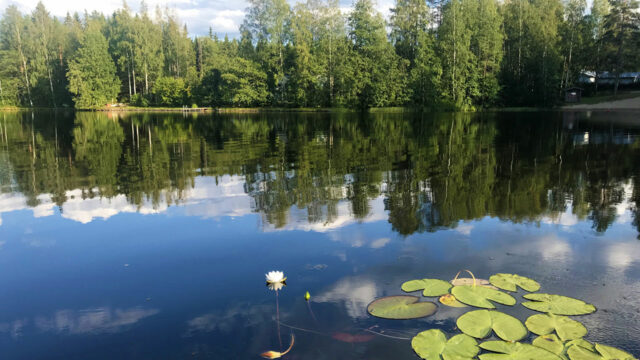 Järvimaisema